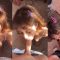 Dopamine PMV (Things I Like – Amateur Masturbation to Hardcore Penetration)