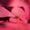 [Onlyfans.com] Belle Delphine – Personal Cosplay Girl Ryuko PPV [05-09-2024]