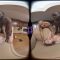 [VRHotwife] Olivia Taylor – Gang Bang Welcome for a New Roommate (01.01.2025) (Oculus, Go 4K)