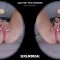 SLROriginals – Euro Trip: Warm Welcome – Olivia Sparkle (2025.11.11) (GearVR)