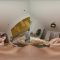 VRPlayful – Make my room – Marica Chanel (2025.02.09) (GearVR)
