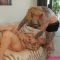 [PlumperPass] Alice Blush – Massage To Mayhem (2025.11.21) {1080p}