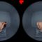 ARPorn – Push/Pull/Sex – Archer Ali (2026.03.09) (Oculus, Go 4K)