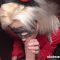 [ClubCastings] Devil MILF Bimbo Barbie wants a job again 2026 [1080p]