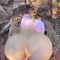 [OF-MiaMalkova] BG POV[1440p][1440p]