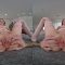 RealJamVR – Pink Housekeeper – Sophia Cruise (2026.04.03) (GearVR)